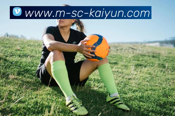 开云平台生态图