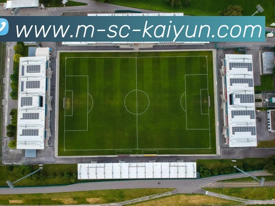 辅助工具 辅助工具